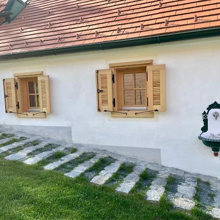 Ferienhaus Perwolff Eisenberg an der Pinka Bagian luar foto